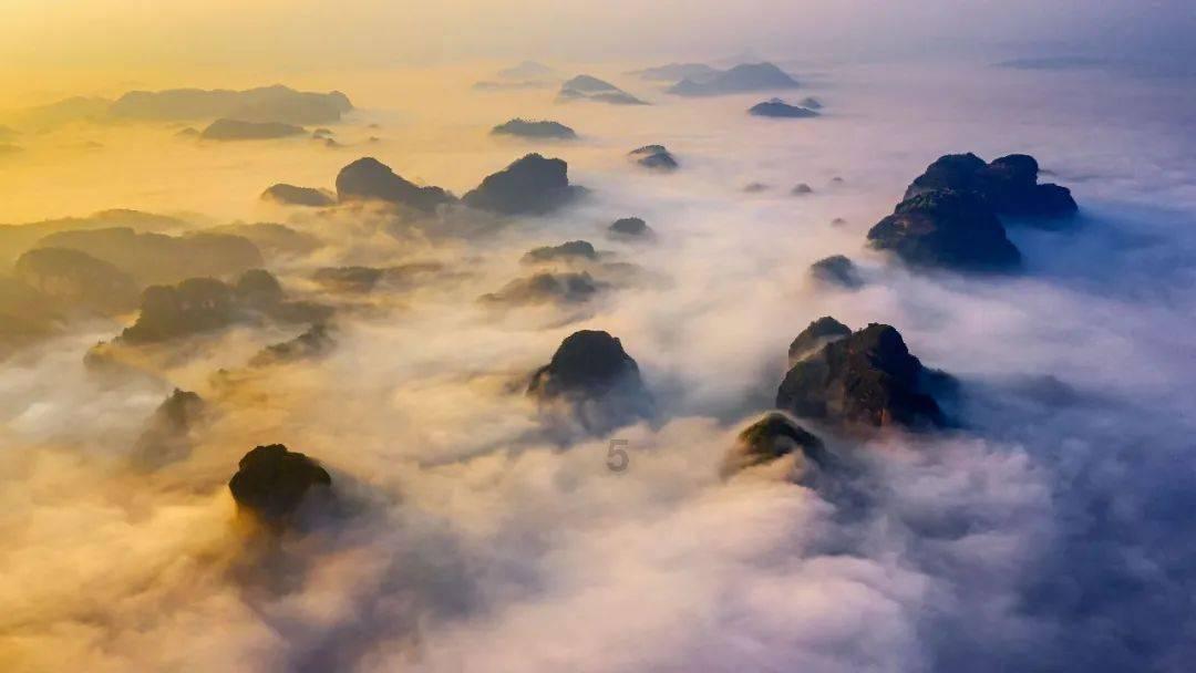 生物多样性净增益（BNG）是什么？全球环境治理前瞻